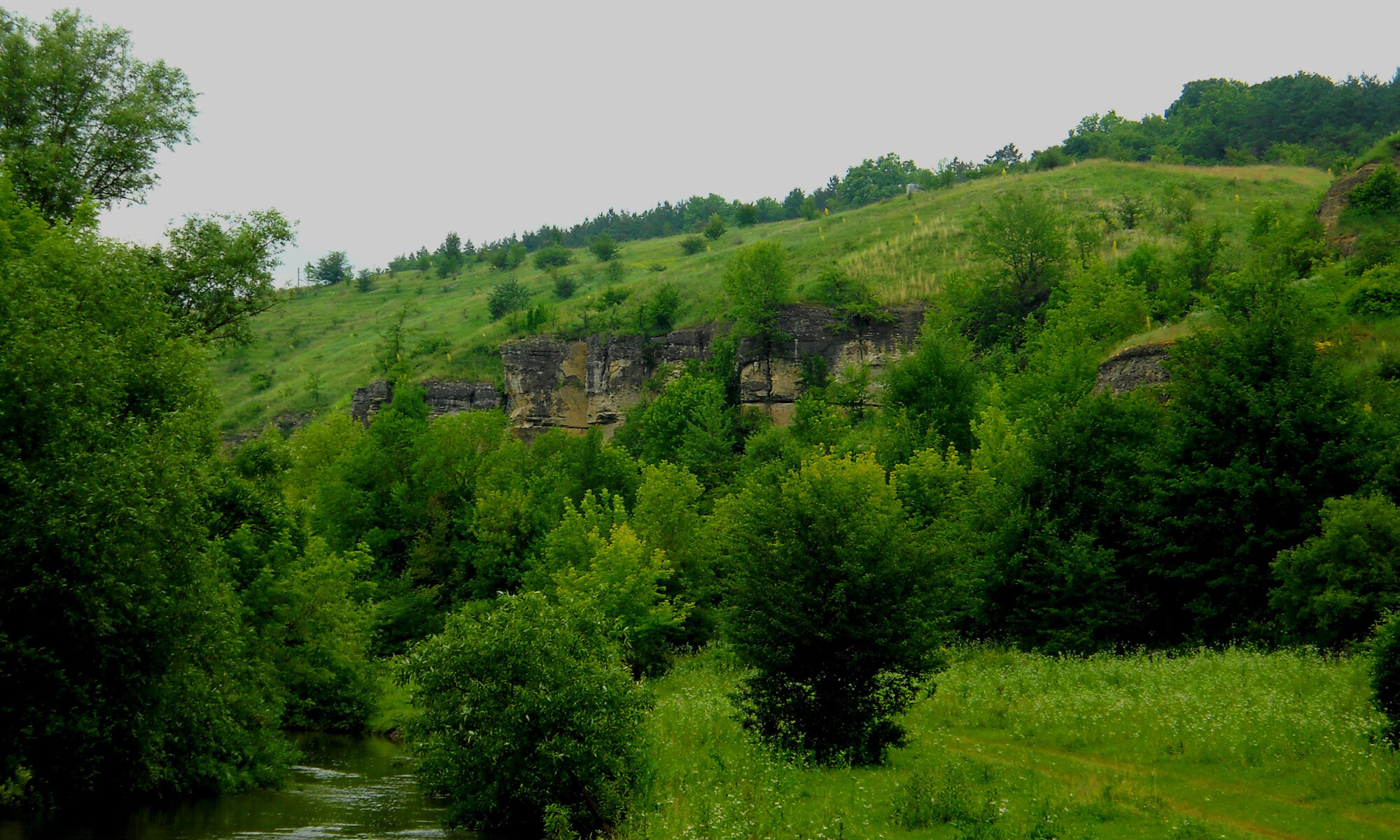 Бринська Наталія (На схилах Збруча)