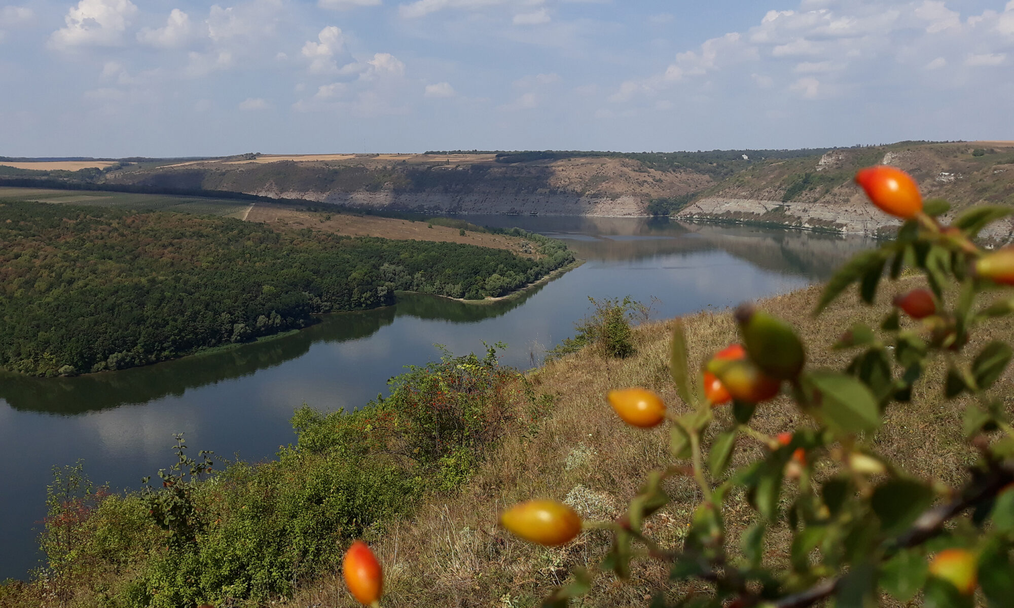 Владика Евеліна (Дністер)